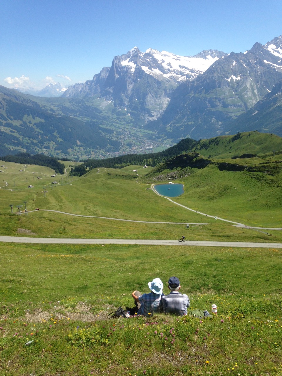 Glorious vistas and places to stop and picnic, from a trail near Wengen. Grindelwald in the distance.