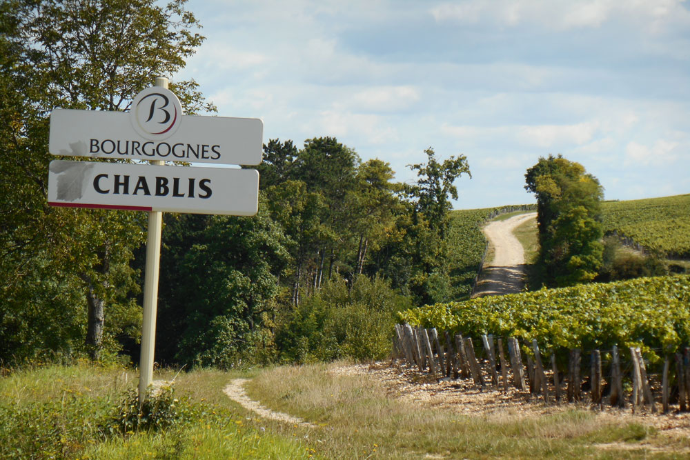 Chablis vineyards through the windscreen of your motorhome