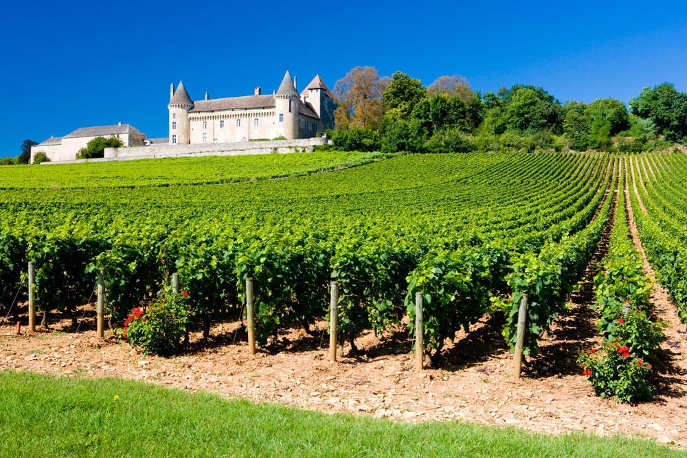 Chateau Rully and Vineyard, a typical scene as you follow a Burgundy wine trail in your motorhome