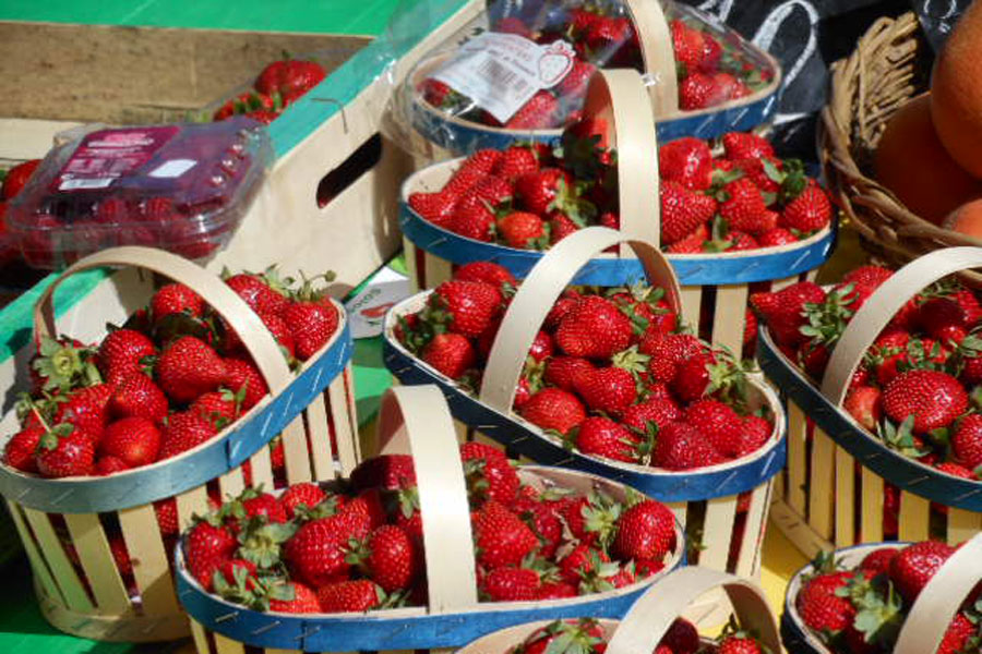Perfect produce at the market every Wednesday and Saturday in the nearby, riverside town of Joigny