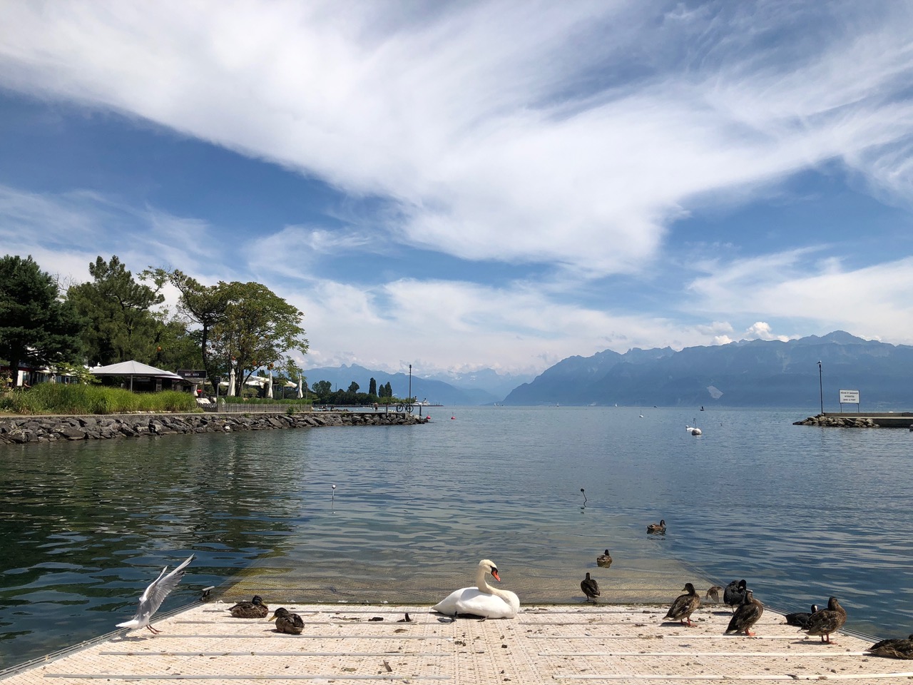 Lake Geneva from Lausanne