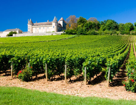 Plan a tour of French vineyards in your motorhome